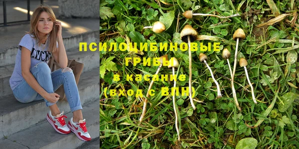 герыч Медногорск