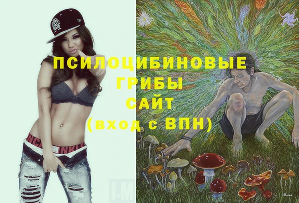 герыч Медногорск