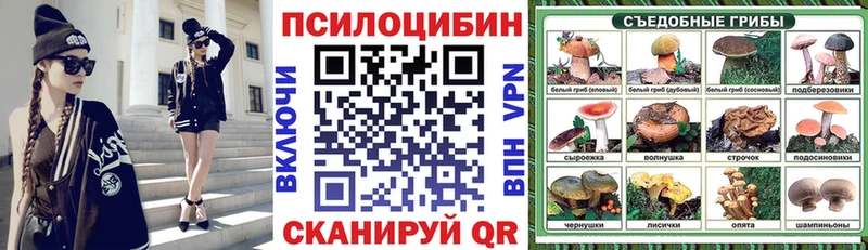 Купить  Цивильск  Галлюциногенные грибы GOLDEN TEACHER 